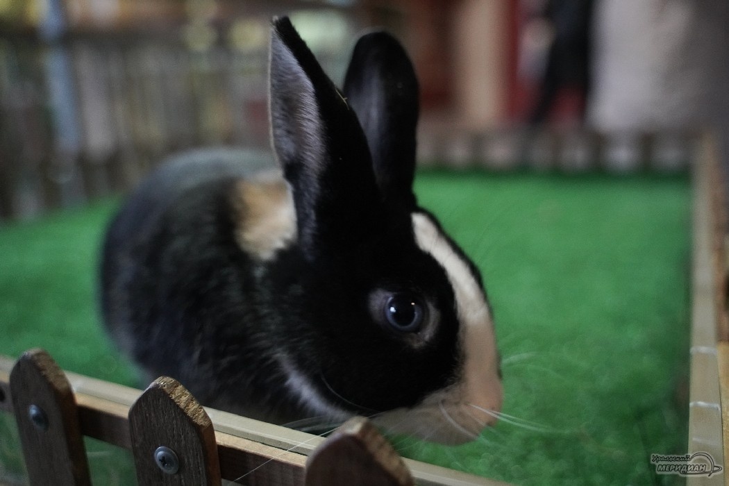    Фото: Лидия Аникина © ИА «Уральский меридиан»