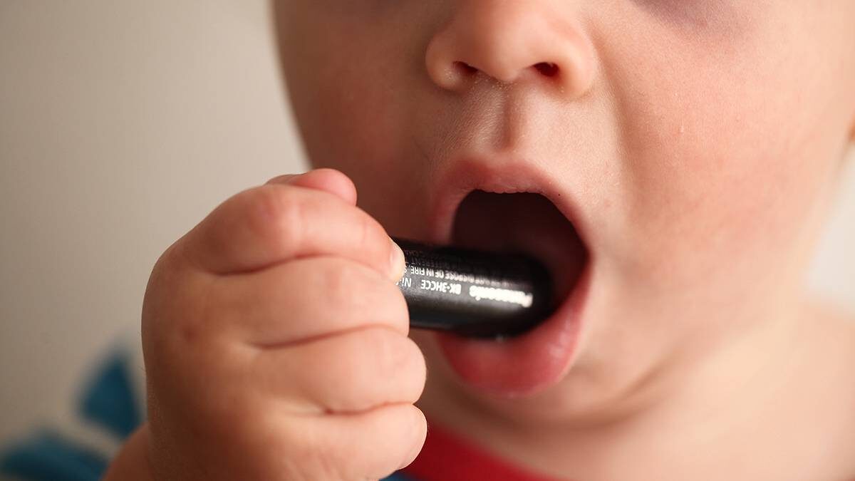    Фото: Shutterstock