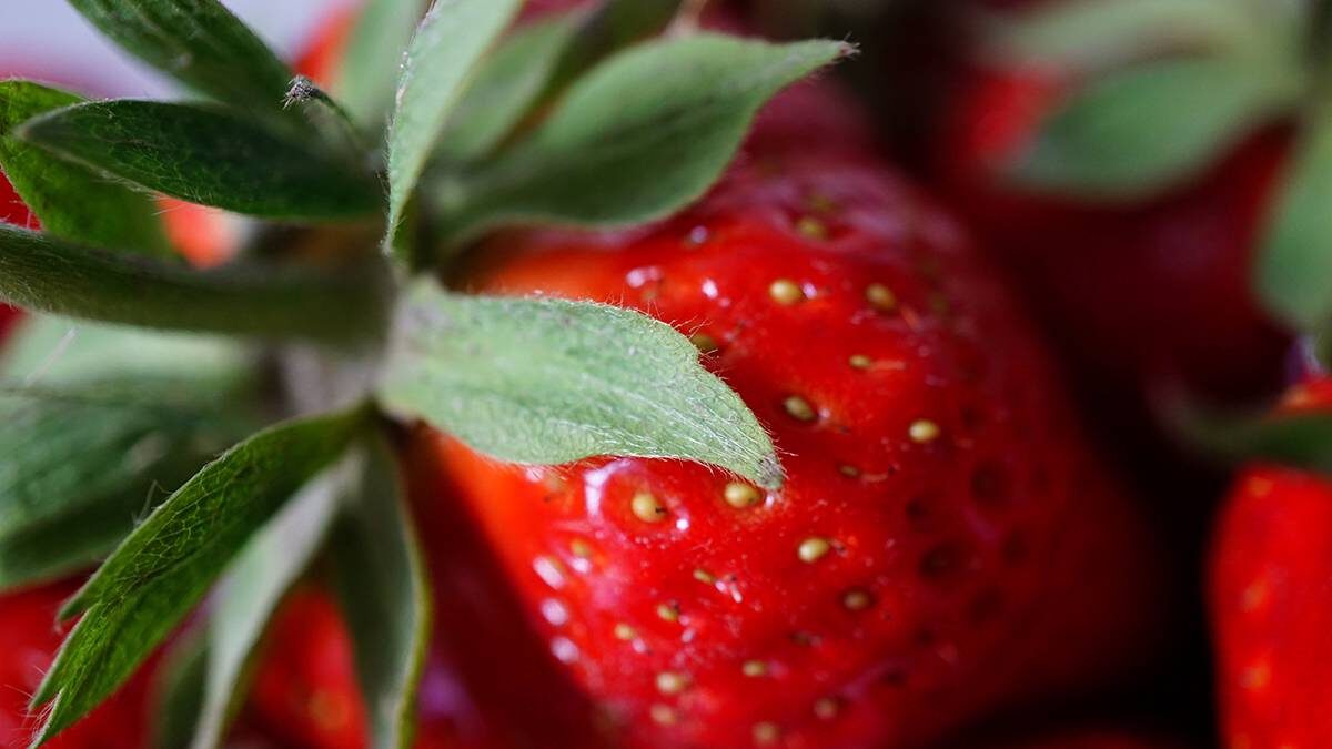    Фото: Shutterstock