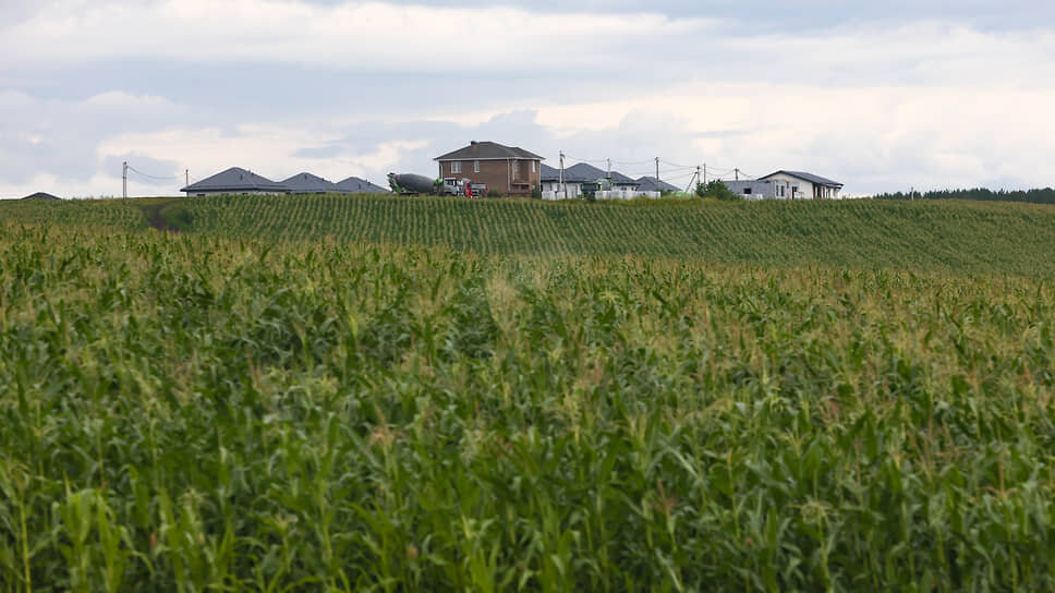 Фото: Марина Молдавская / Коммерсантъ