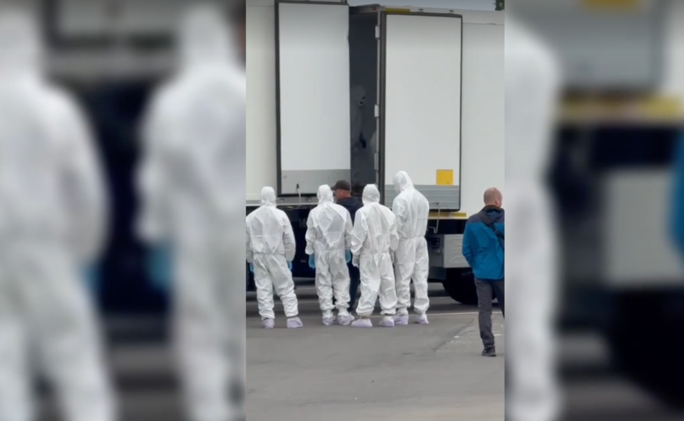     / Источник: ©Кадр из видео