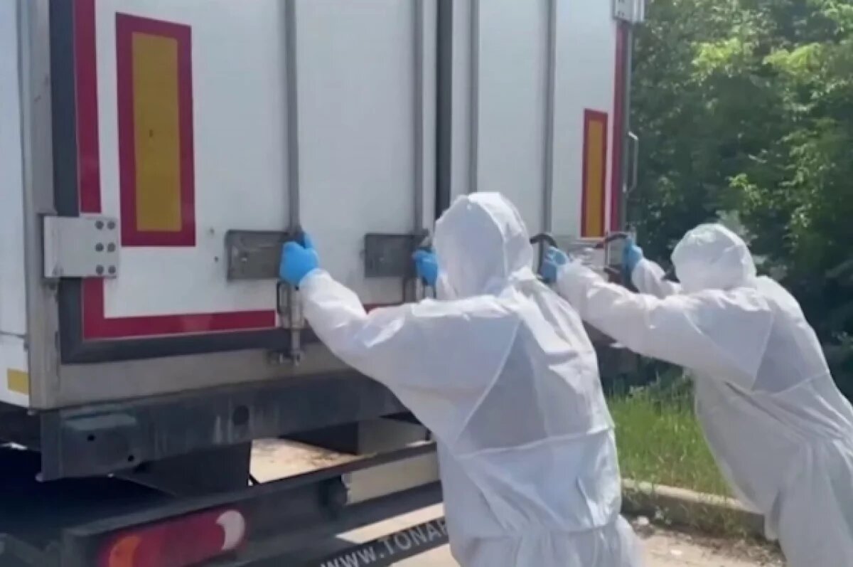    Коц назвал ошеломляющей пропорцию обмена телами бойцов между РФ и Украиной