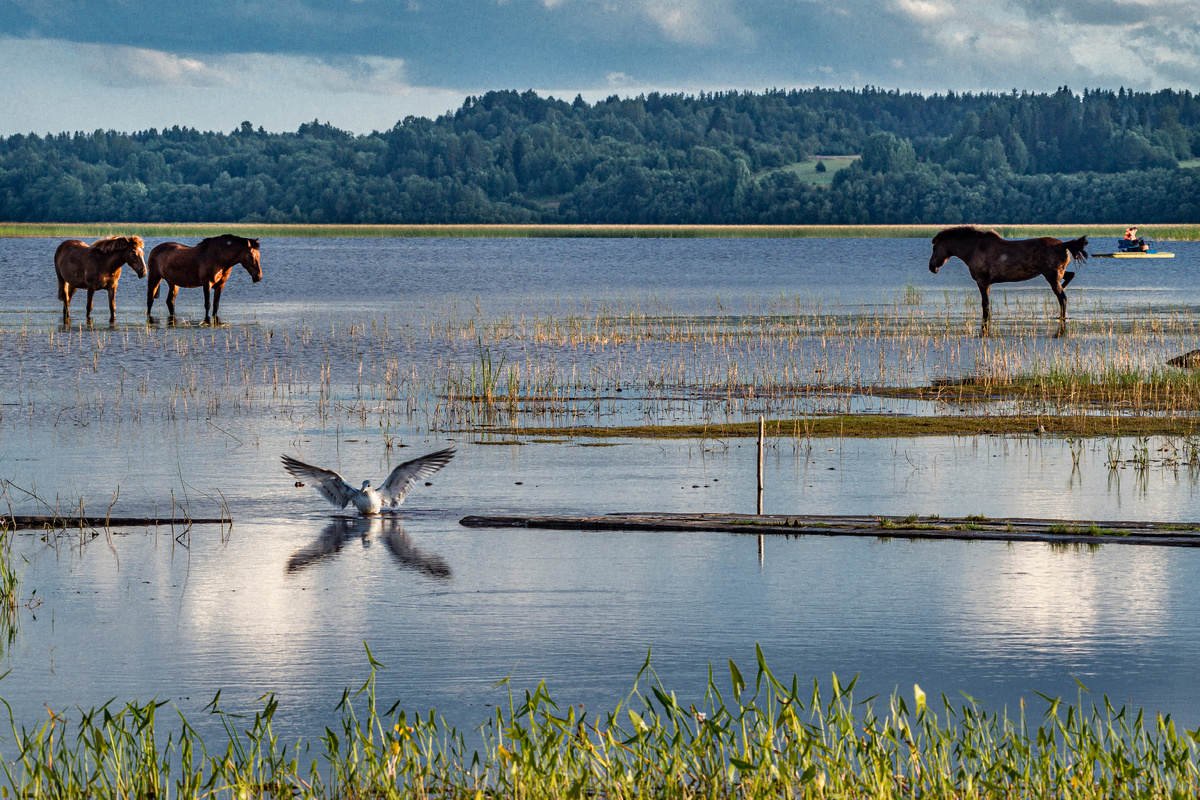 фото: Konstantin Kokoshkin/Global Look Press