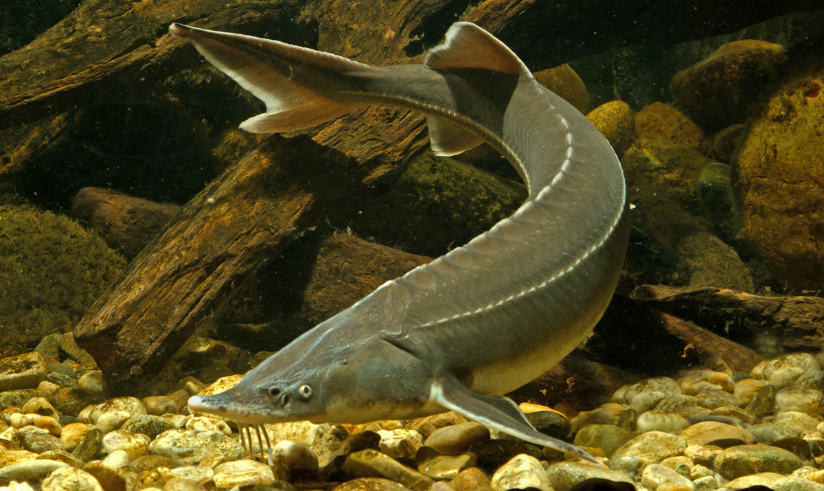 Фото с просторов интернета