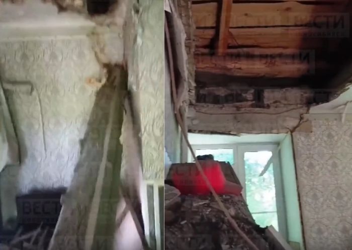 Кадр из видео nsktv.ru.