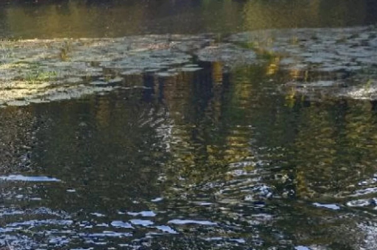    9 проб воды в Пензенской области не соответствовали гигиеническим нормам