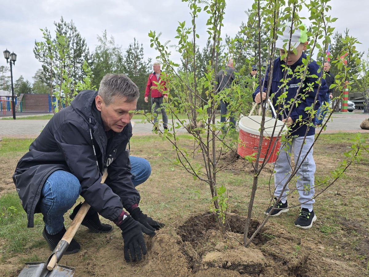    В Когалыме высадили деревья на вновь созданной Аллее памяти героев спецоперации