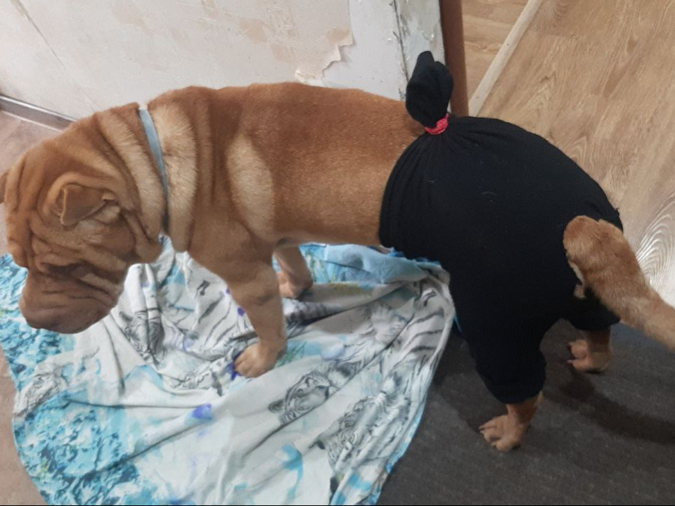     Фото: личный архив Надежды Орловой