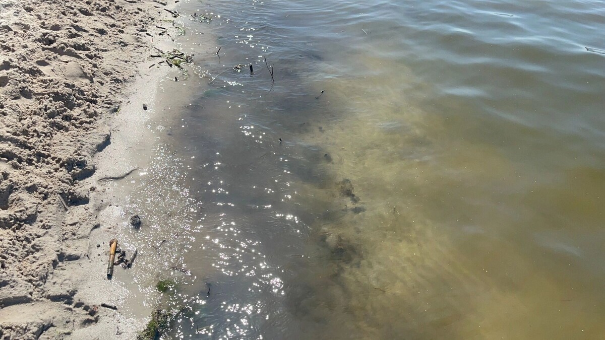     Источник: bel.ru