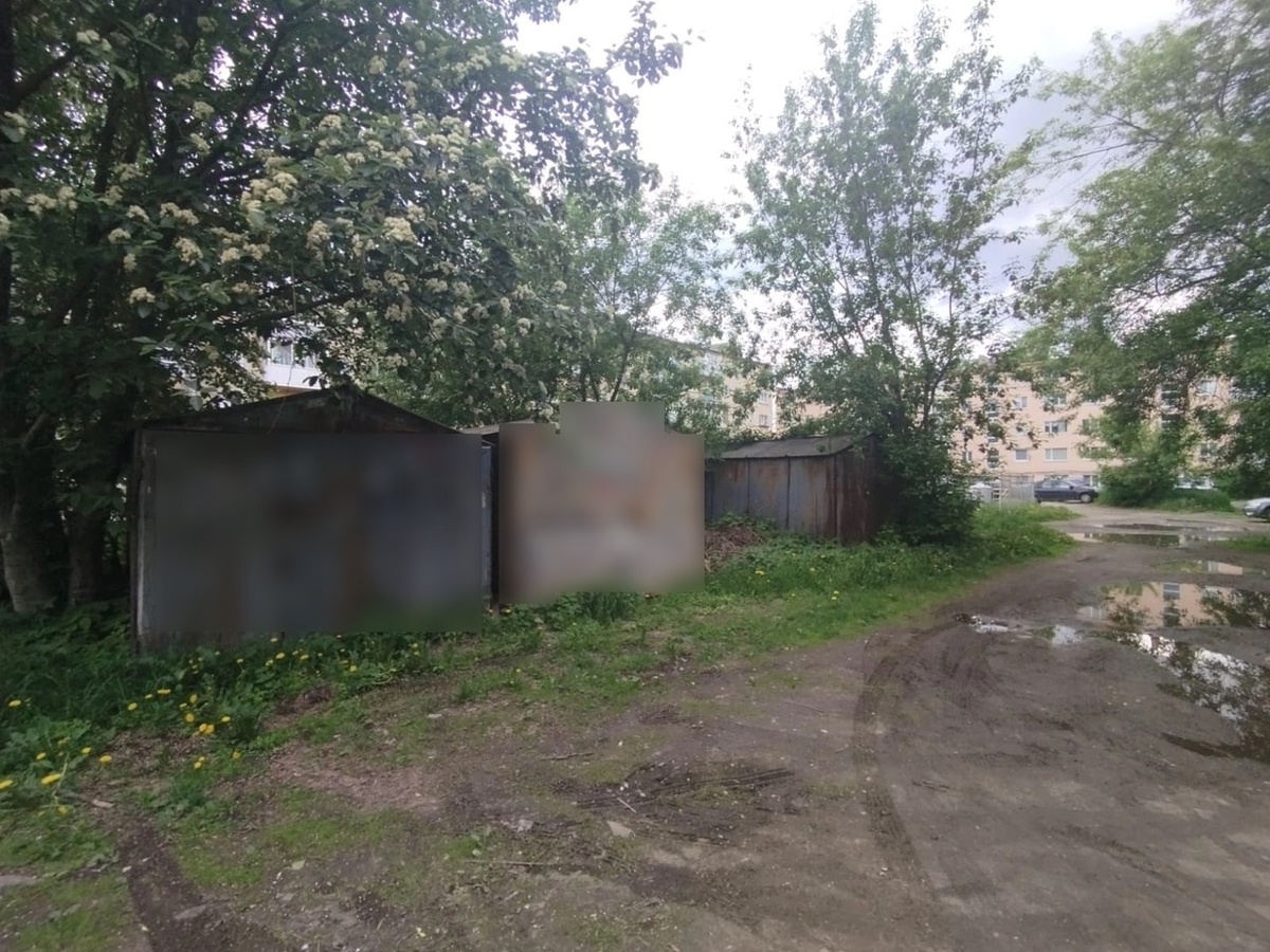    Фото: Администрация Петрозаводского городского округа / ВК