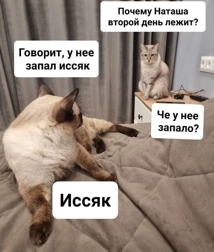 Не знаю - кто автор. Нашла в интернете.