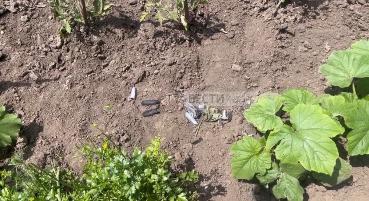    Жители Рыльска Курской области находят после прилёта дымящиеся детали БПЛА