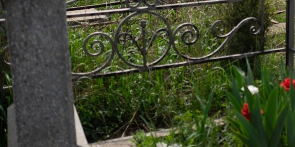    Фото Николая Хижняка, «Кубань 24»