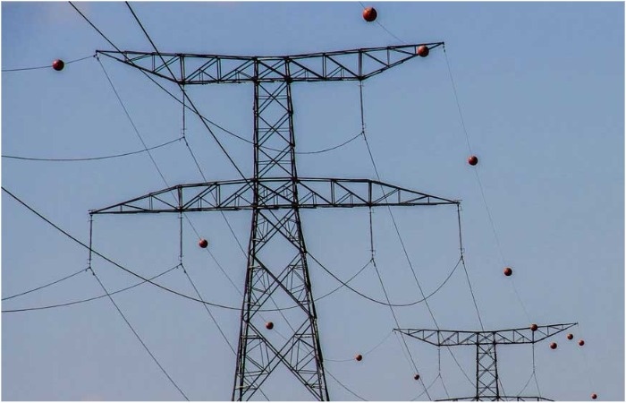 Впервые яркие шары появились в Америке... / Источник: brisma-africa.com