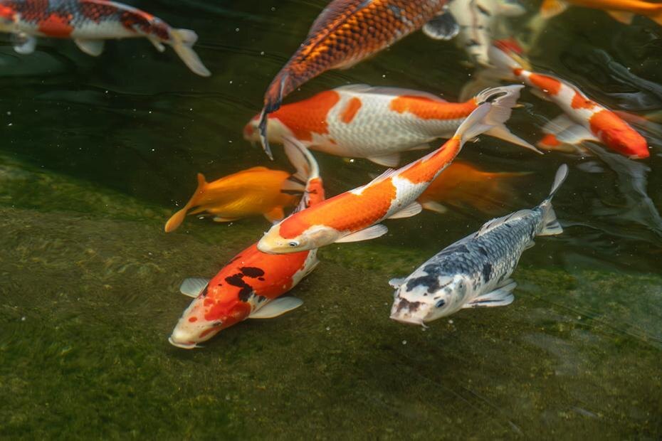    Silas Stein/dpa/Global Look Press