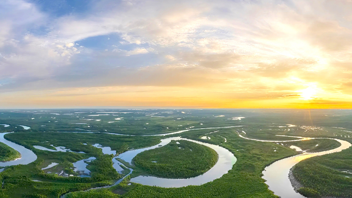 Заказник «Полуйский» в ЯНАО. Фото: Данил Хусаинов. Источник: yanao.ru