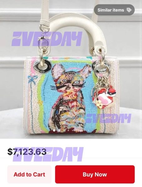    Сумка Яны Рудковской. Фото: