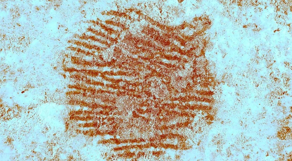   David Álvarez-Alonso et al. / Archaeological and Anthropological Sciences, 2025