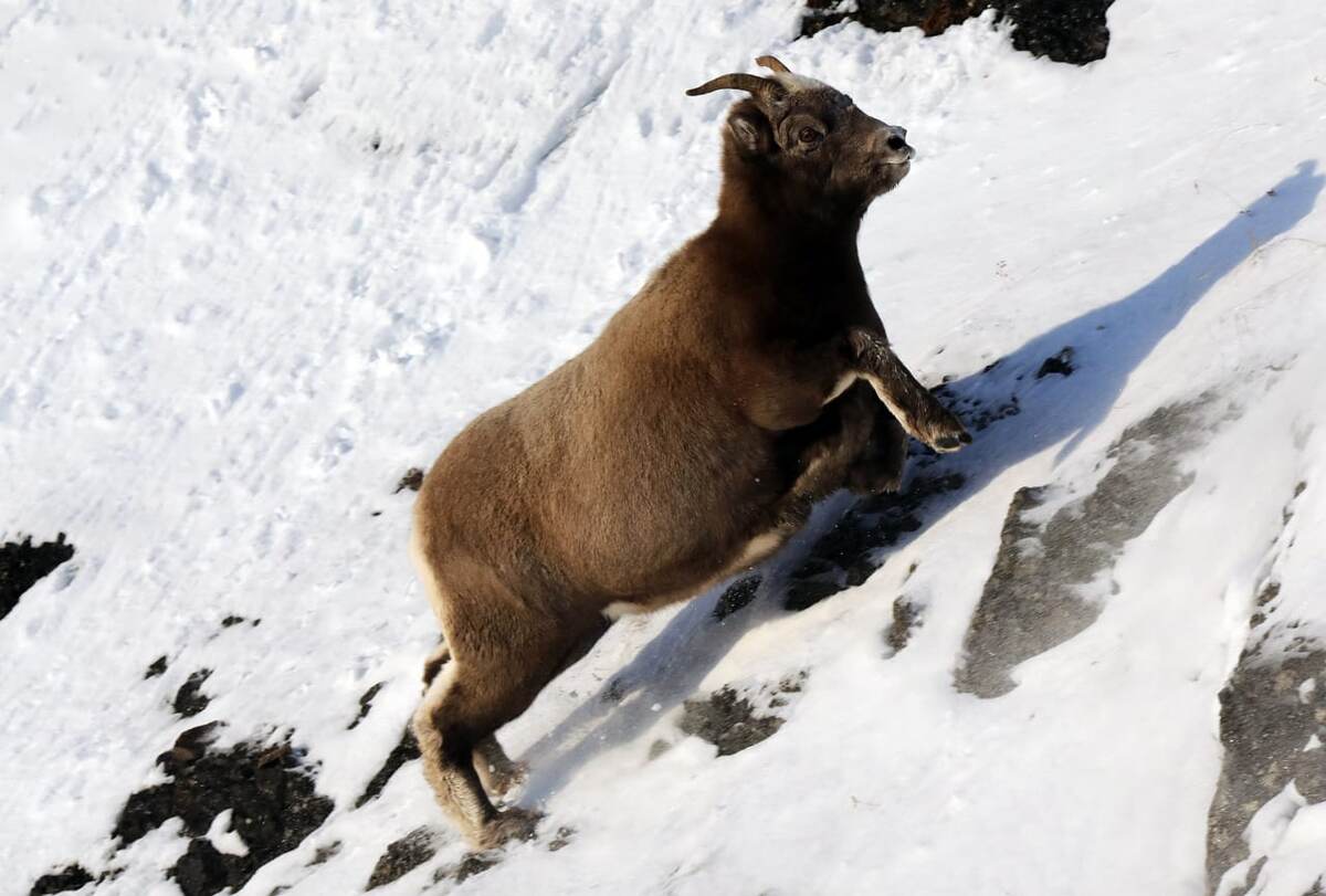 Фото: Михаил Бондарь