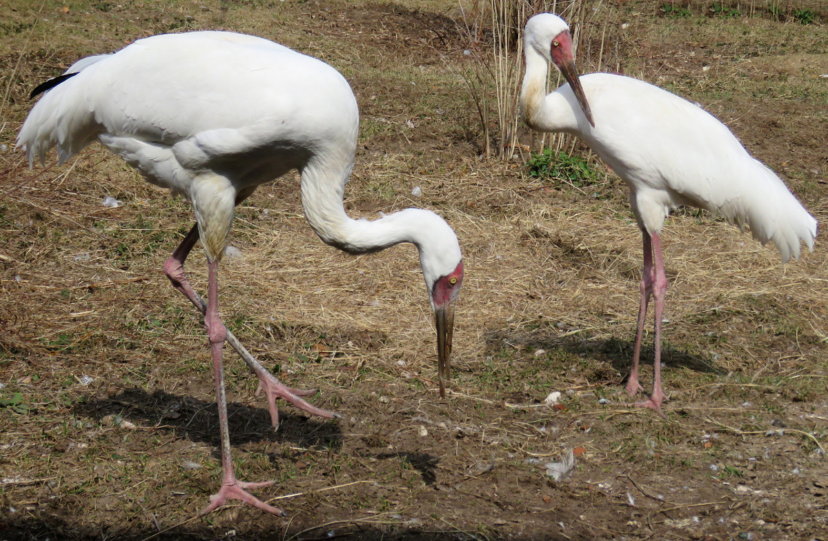 Фото: Татьяна Постельных 