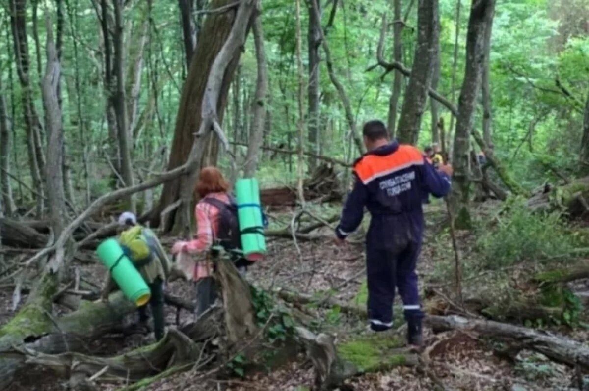    В Сочи спасатели вывели из леса потерявшихся бабушку с внуком