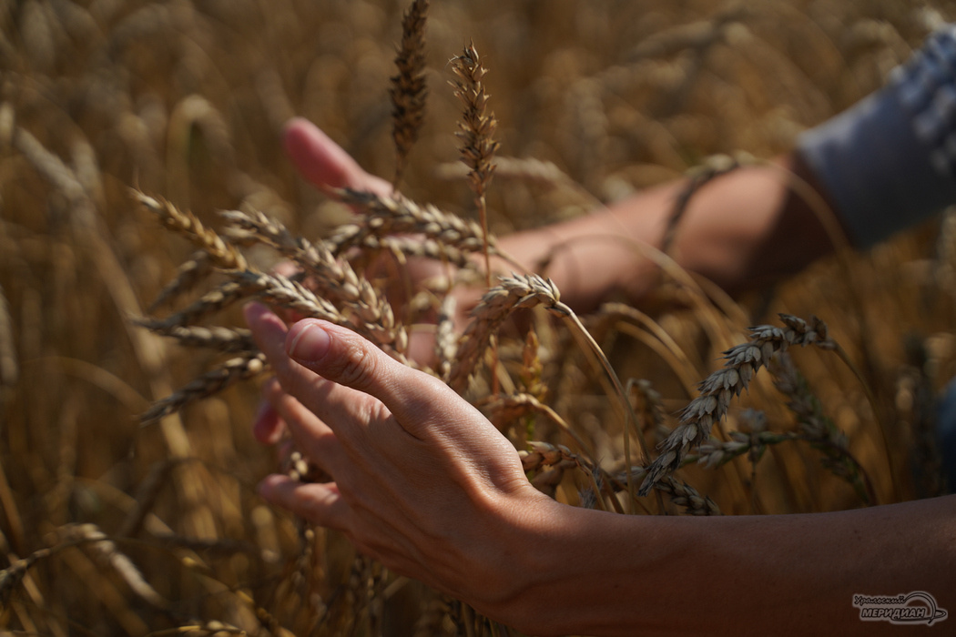    Фото: Лидия Аникина © ИА "Уральский меридиан"