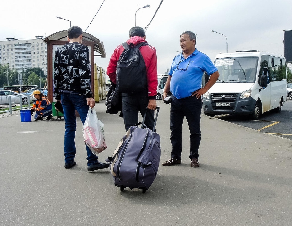 Из открытых источников в интернете.