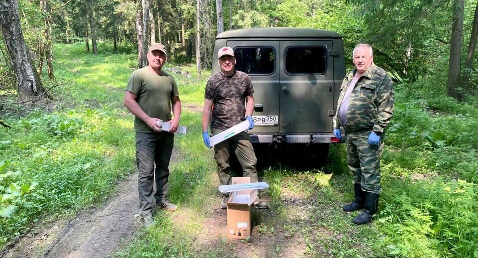    Пресс-служба Министерства сельского хозяйства и продовольствия Московской области