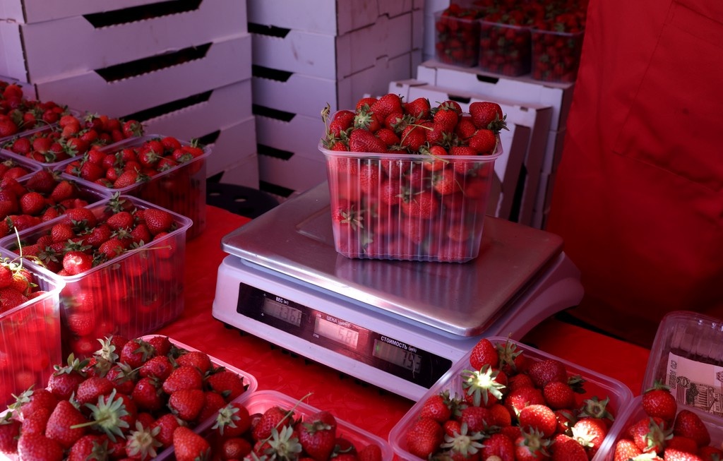    Фото © Анастасия Романова / Абзац