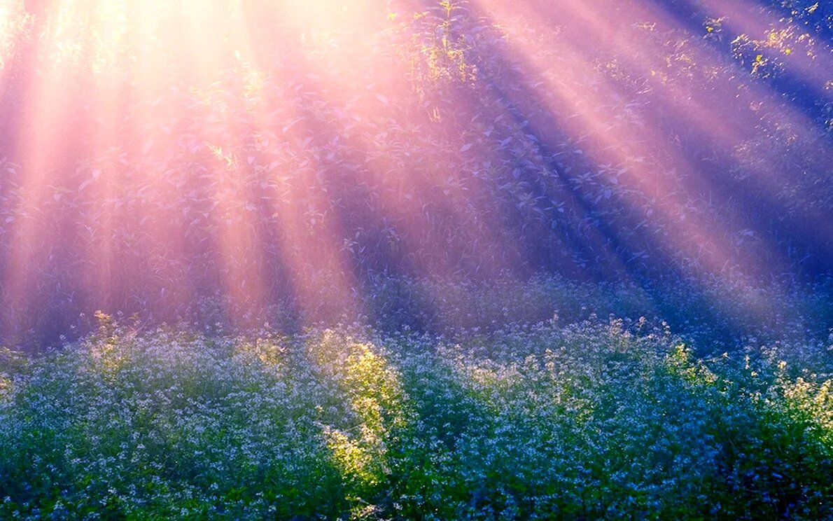 Есть ли любовь, как увидеть в энергетическом поле