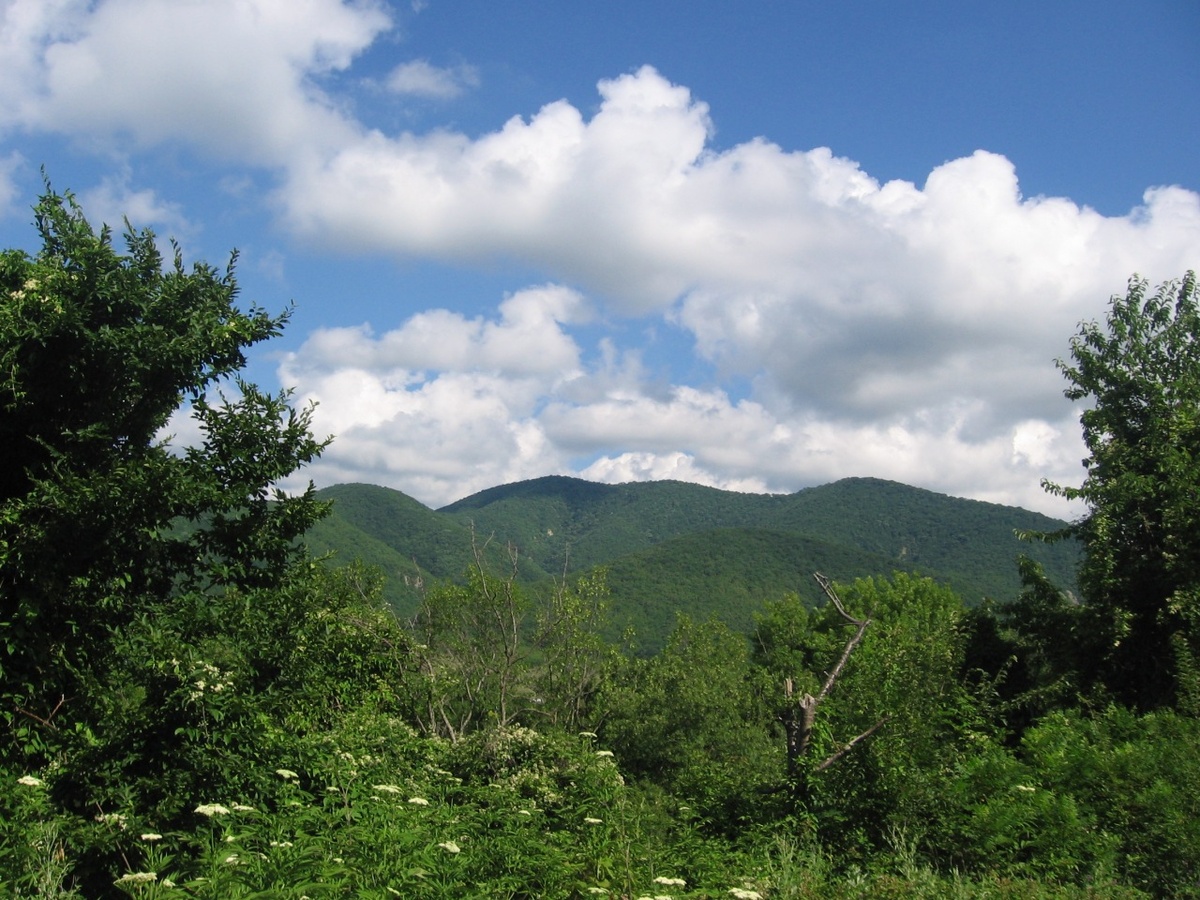 Где-то рядом с Беттой. Краснодарский край.