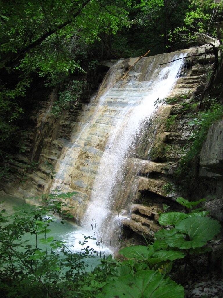 Где-то рядом с Беттой. Краснодарский край.