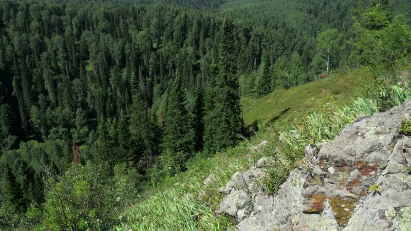     Памятник природы «Скала Сапсан». паблик ВКонтакте «программа Усынови заказник»