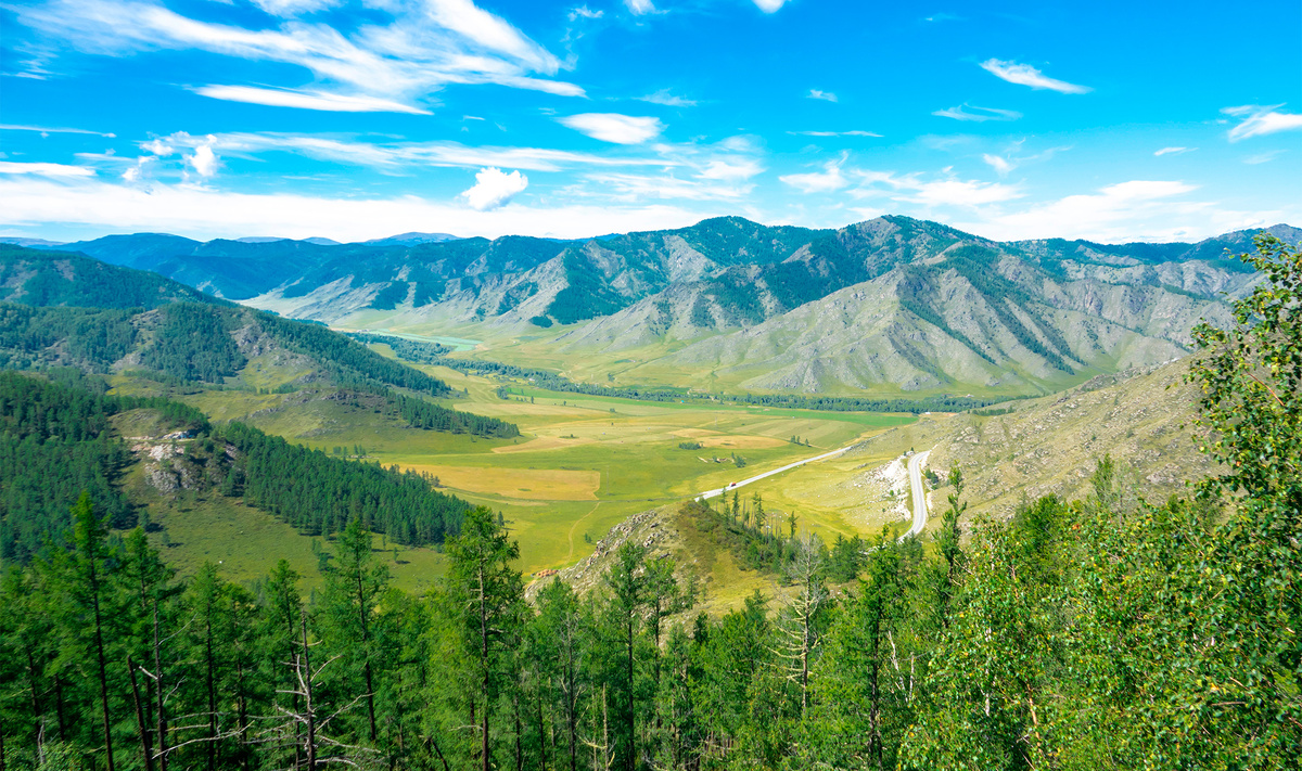 На Семинский перевал нужно ехать за видами со смотровой площадки.Фото: Sergey Sivkov / Shutterstock.com