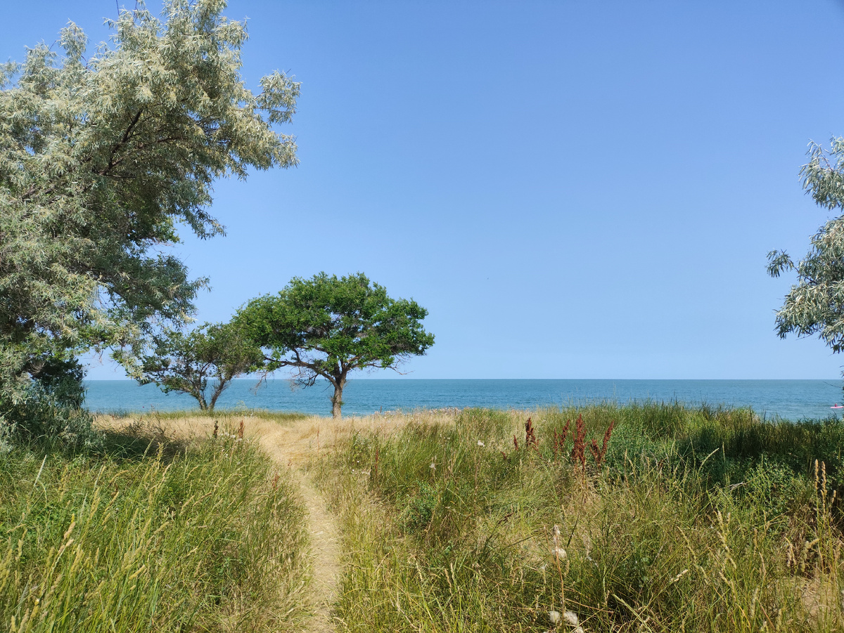 Идем на наше любимое место