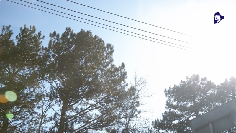      Фото: ИА «Победа26»