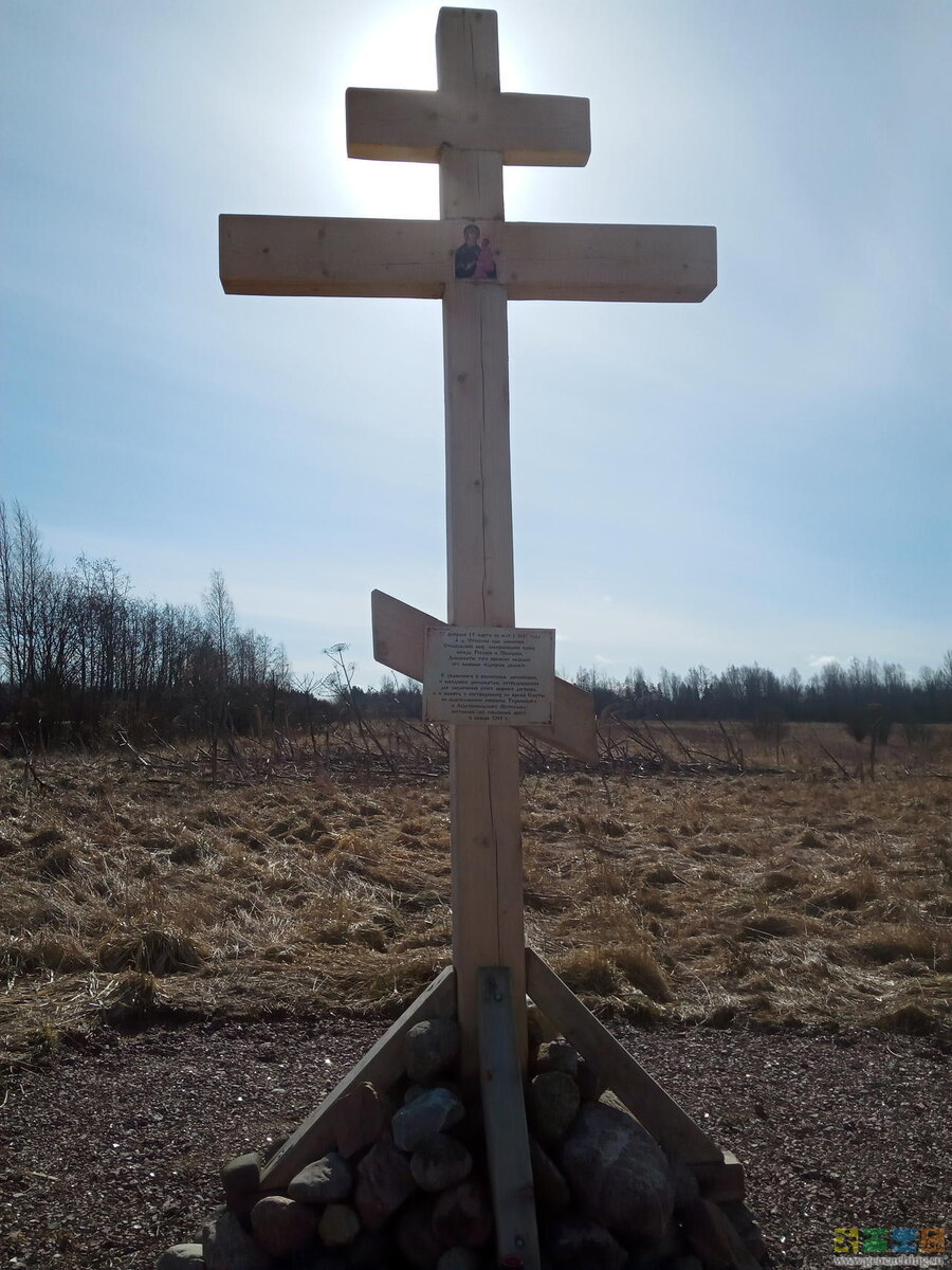 (деревня Столбово, фото Татьяны Супрун, 2020 год)