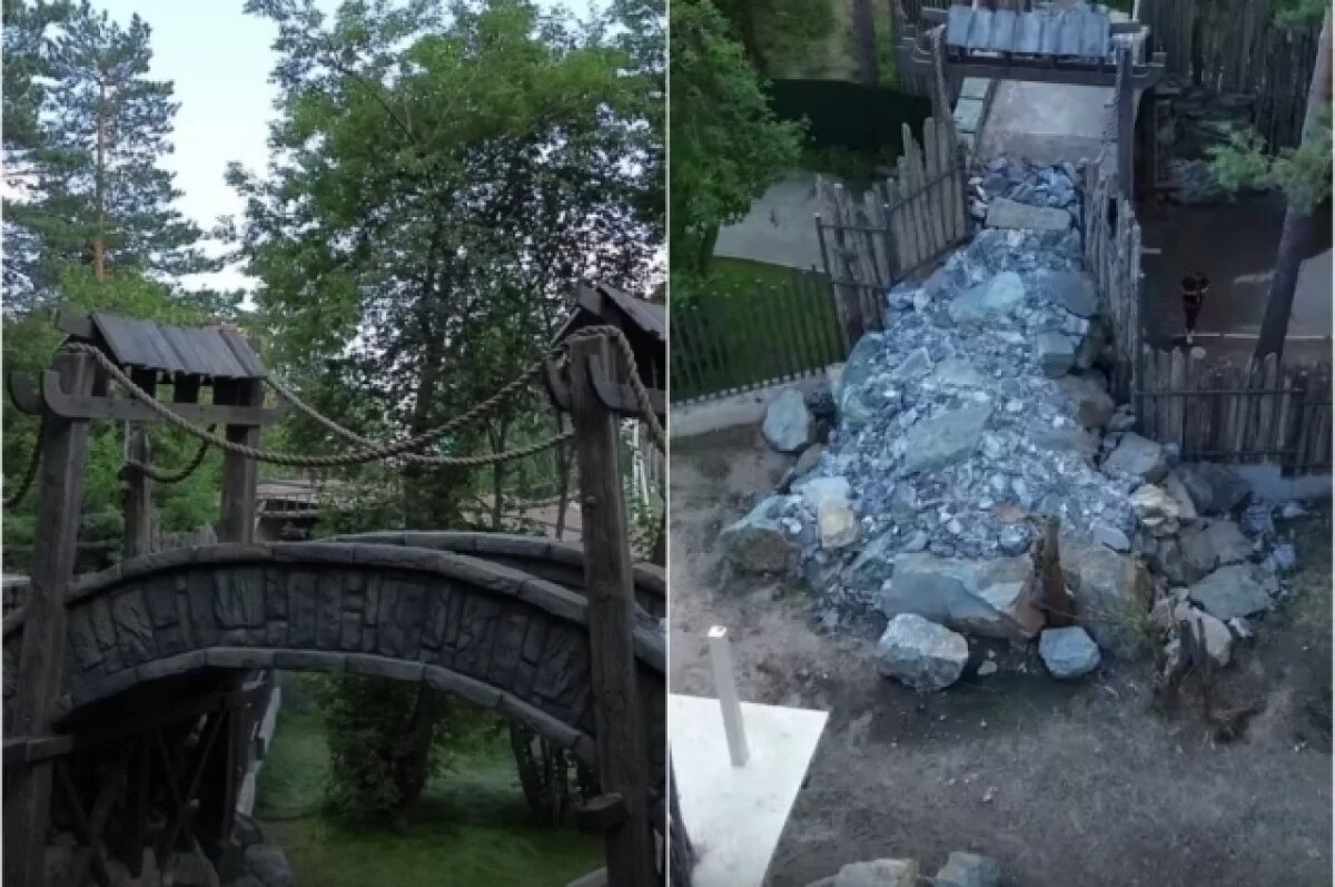    Гранд-каньон для американских кошек появится в зоопарке Новосибирска