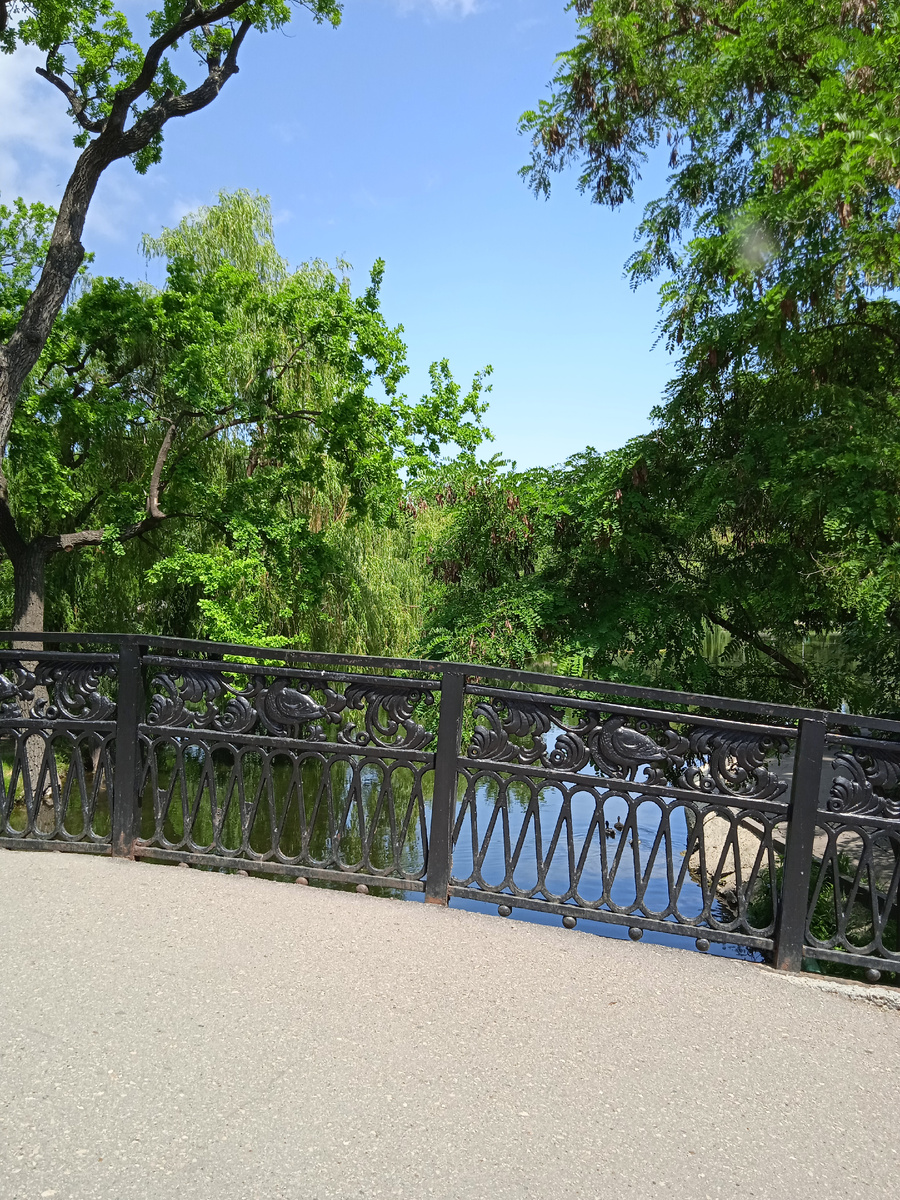 Фото автора канала. 