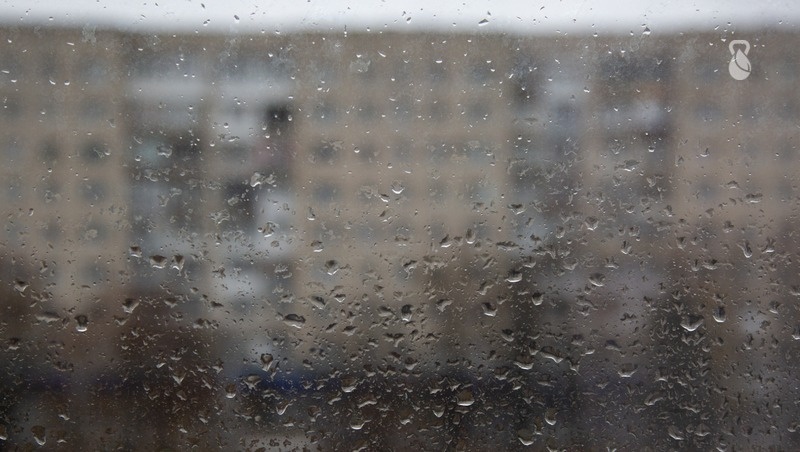      Фото: ИА «Победа26»