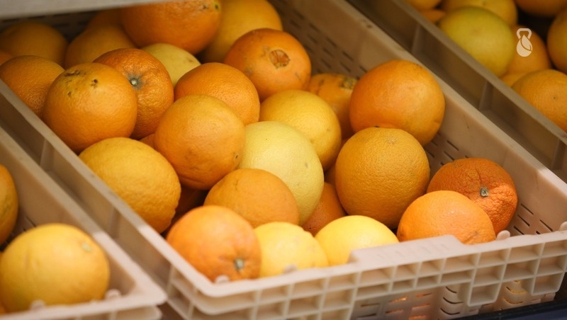      Фото: Дмитрий Ахмадуллин / / ИА «Победа26»