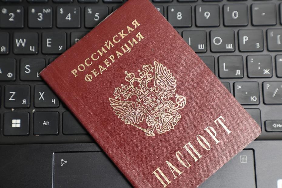    Алексей Белкин/NEWS.ru