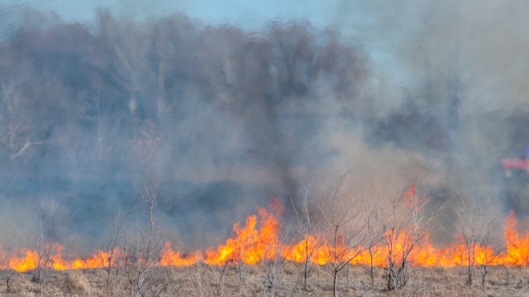    Svetlana Vozmilova/Global Look Press/Globallookpress