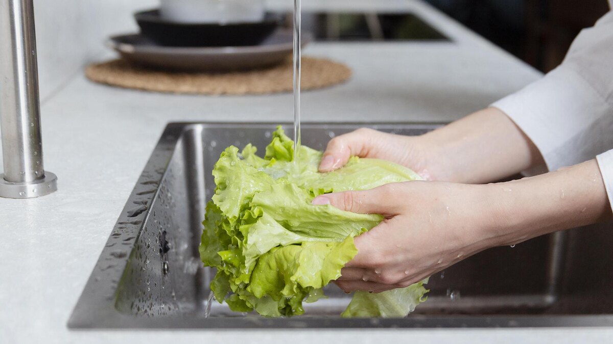 Фото: freepik.com