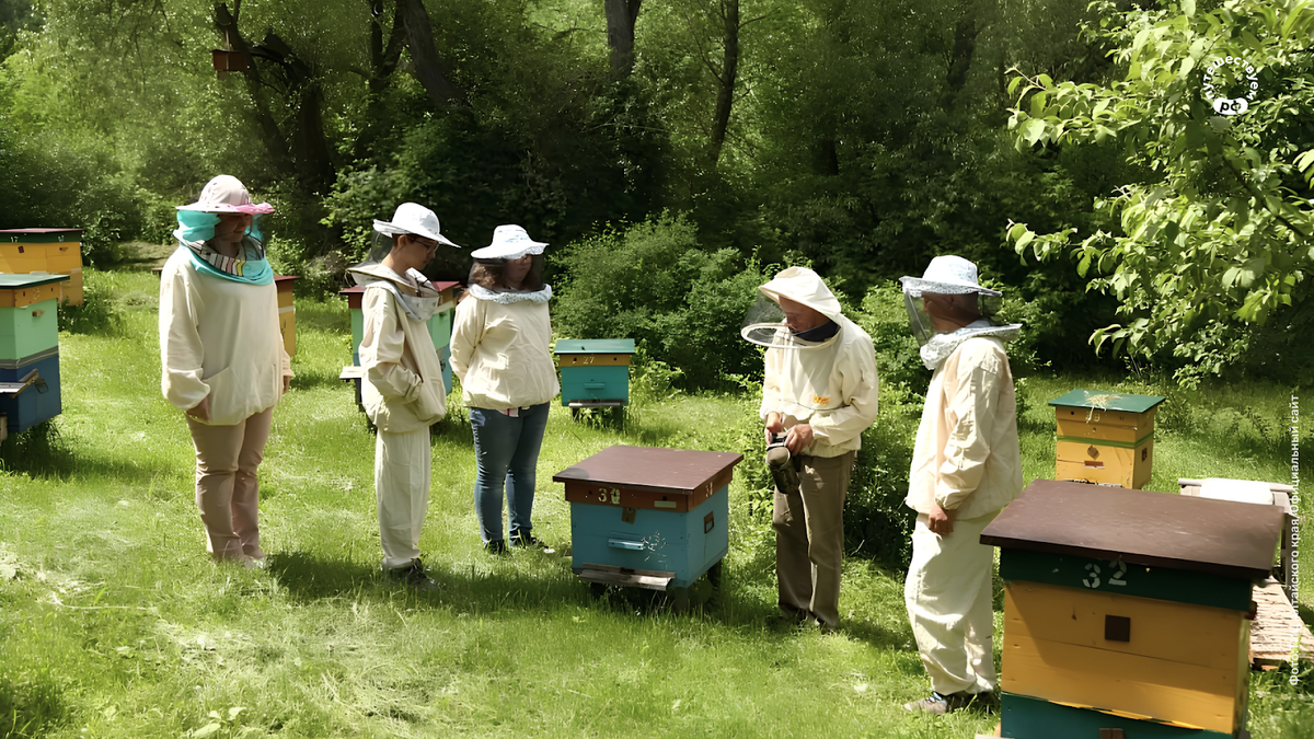 Адрес: Белокуриха, ул. Проходная, 38