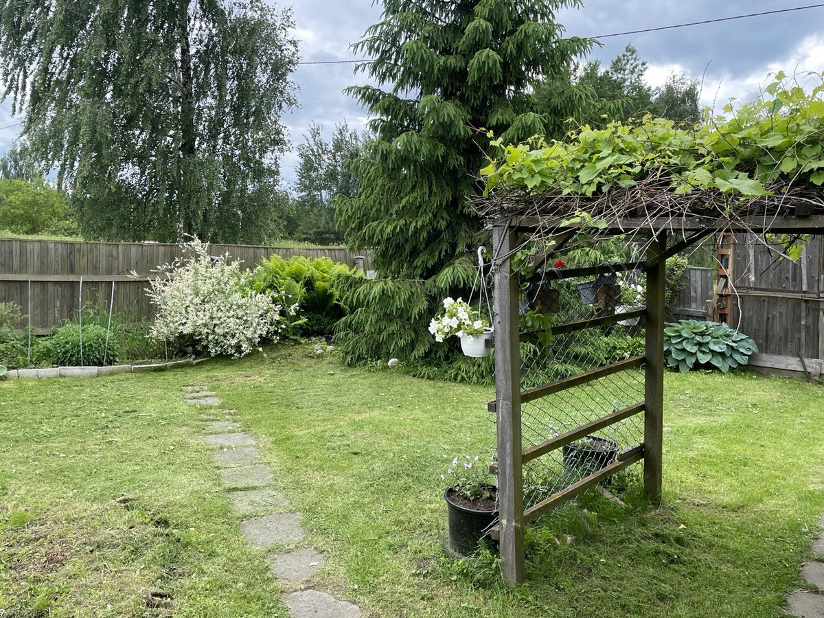 Фото дачи автора канала 