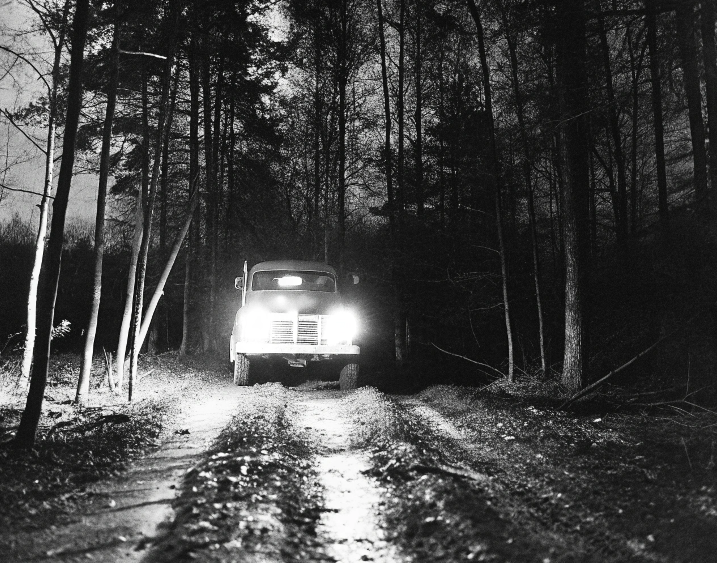 Все изображения взяты из открытого источника