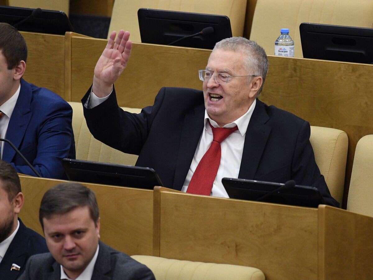     Владимир Жириновский на пленарном заседании Государственной думы РФ. 19 декабря 2018© РИА Новости / Григорий Сысоев