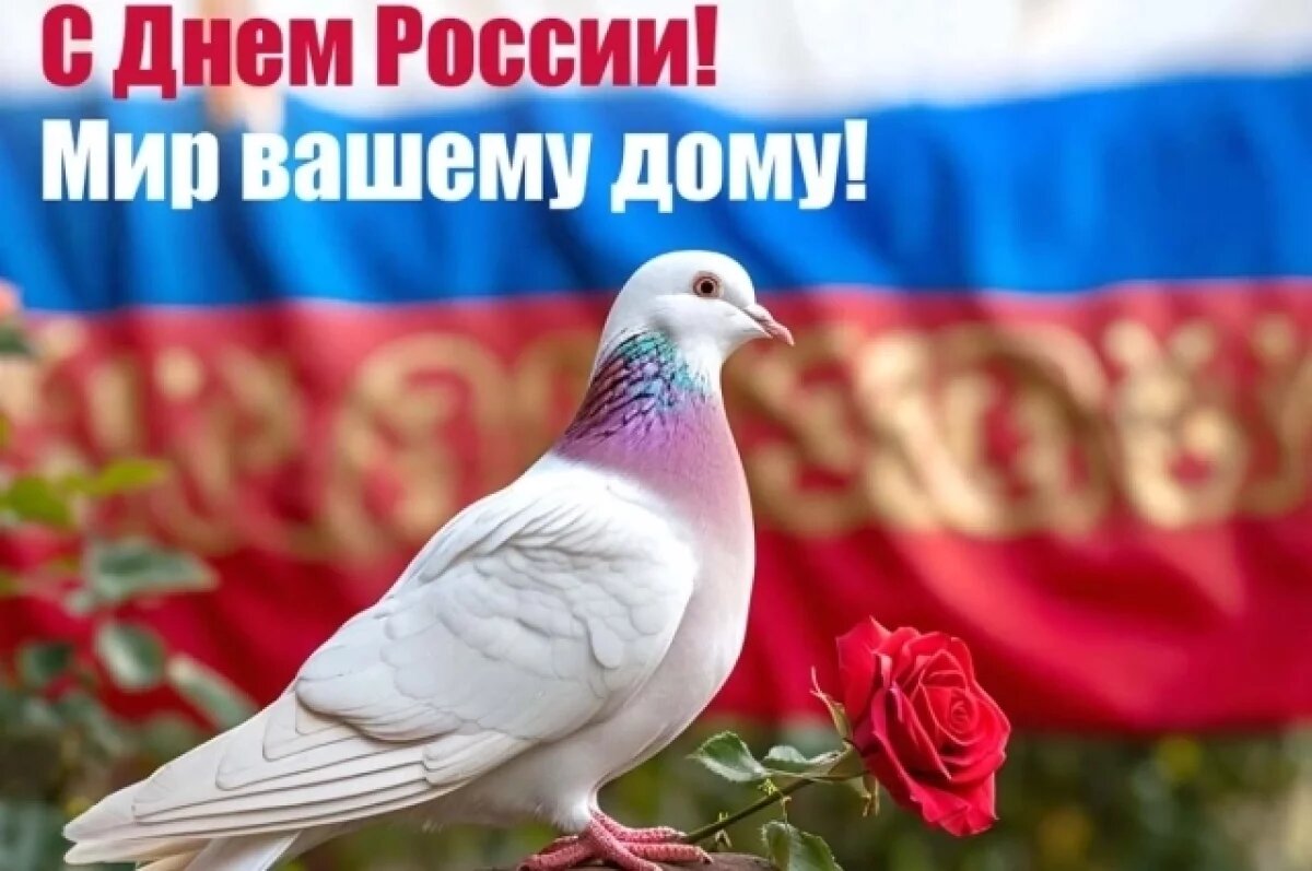    Стала известна обновленная программа празднования Дня России в Новосибирске