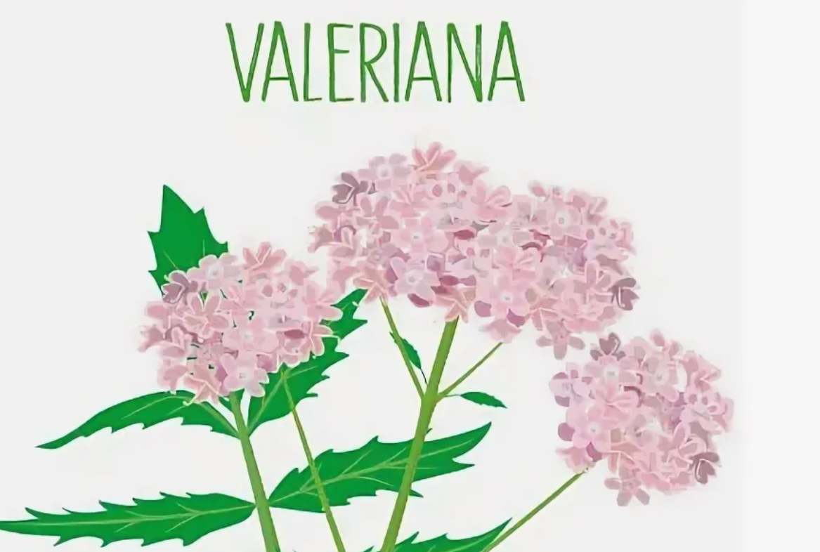 Источник: https://yandex.ru/images